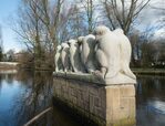 Blik op een van de onvolwassen(?) vogels.
<br/>
Marcel Westhoff, februari 2016